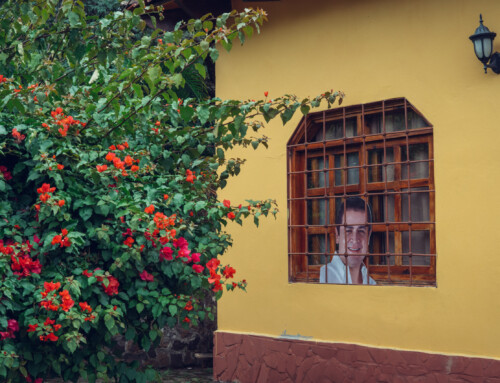 La photographie du mois (Décembre 2025)